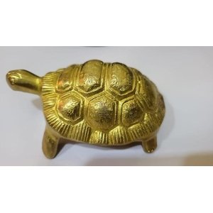 Tortoise