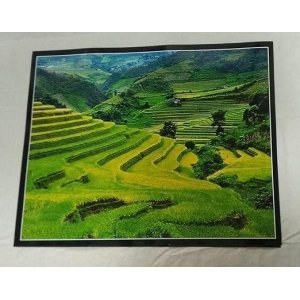 green scene