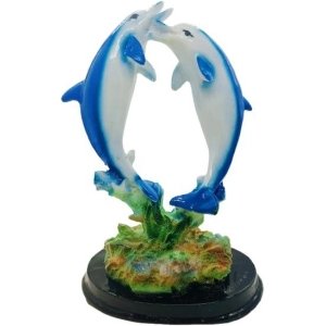 Dancing Dolphin