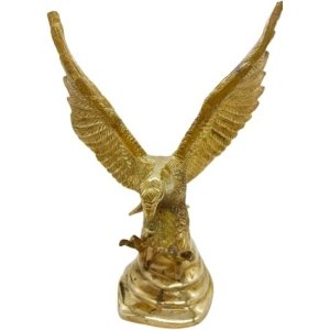 eagle