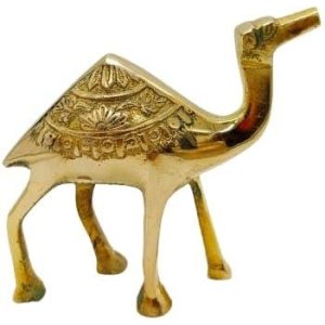 camel